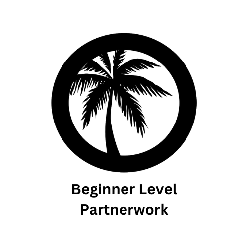 Partner Choreography - Beginner Levels